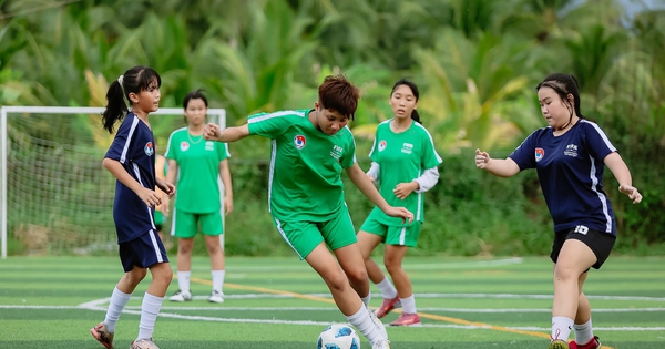 GO88 cược bóng đá
